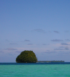 [ maldives ]